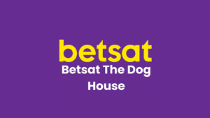 Betsat Dog House